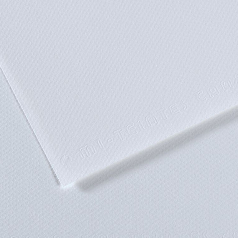 Canson Fon Kartonu (Dokulu) Mı-Teıntes Sh Canmt 50x65 160 GR Blu 181